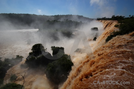River tree water iguazu falls argentina.