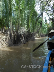 River vehicle my tho mud mangrove.