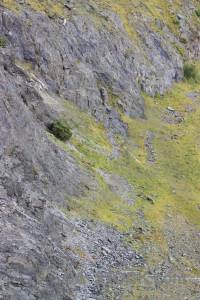 Rock green cliff mountain gray.