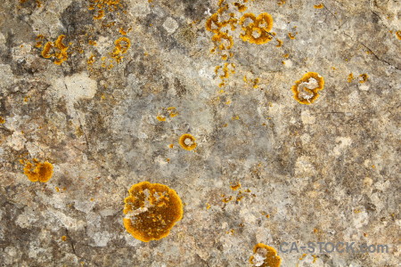 Rock orange texture yellow stone.