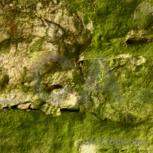 Rock texture green stone.