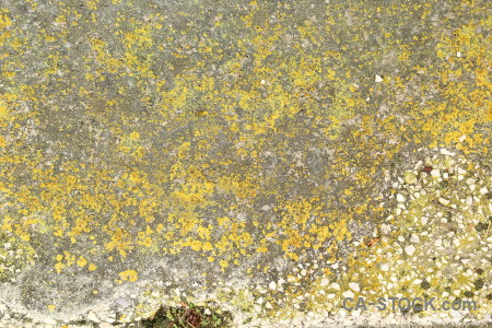 Rock texture stone yellow.