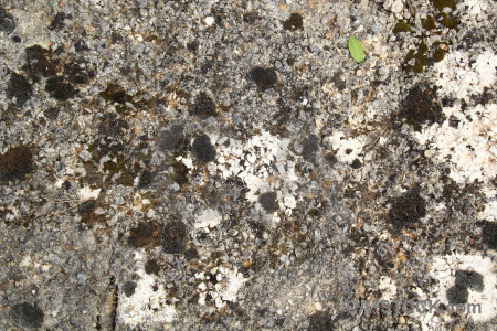 Rock texture white stone.