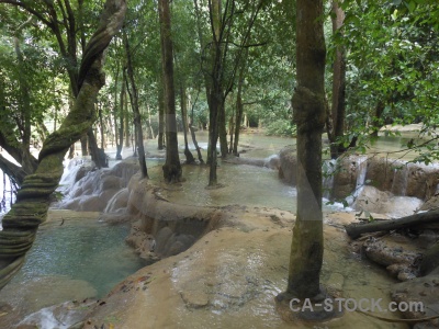 Rock waterfall tree luang prabang southeast asia.