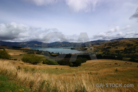 Sea sky water landscape south island.