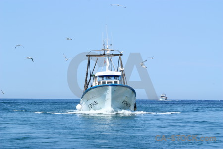Sea spain europe boat blue.