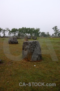 Site 1 southeast asia stone misty fungus.
