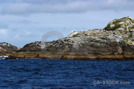 Sky animal fiord sound seal.
