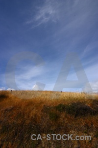 Sky grass south island new zealand landscape.