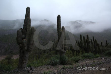 Sky south america fog calchaqui valley salta tour.