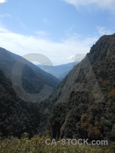 Sky south asia nepal mountain tree.