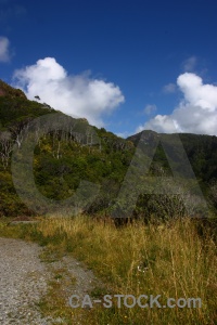 Sky tree south island grass mountain.