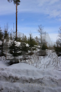 Snow blue winter landscape.