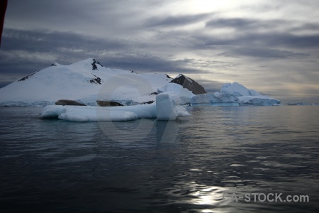 Snow seal iceberg water snowcap.
