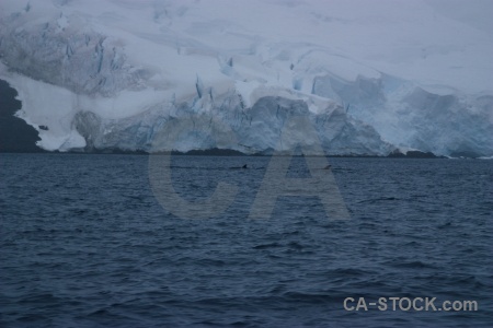 Snow water sea fog antarctica cruise.