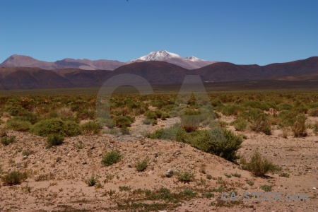 Snowcap sky bush argentina altitude.