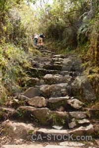 South america inca trail step peru person.