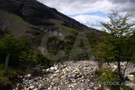 South america mountain rock tree patagonia.