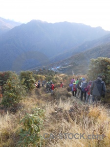 South asia person himalayan tree mountain.