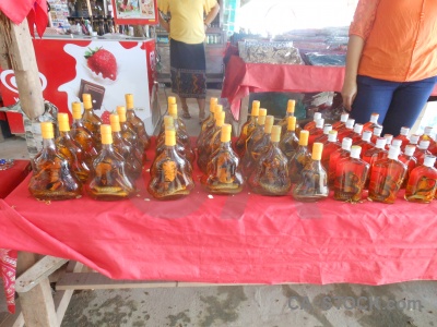Southeast asia done xao bottle reptile market.