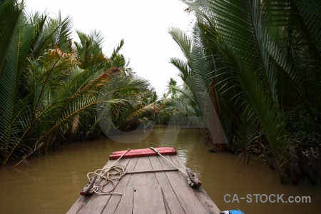Southeast asia my tho mekong river island palm tree.