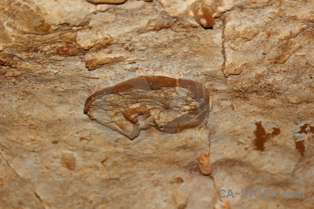 Spain cave benidoleig rock brown.