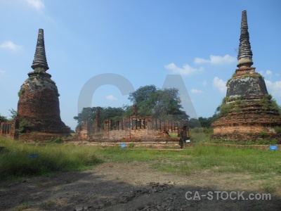 Step thailand stupa brick tree.
