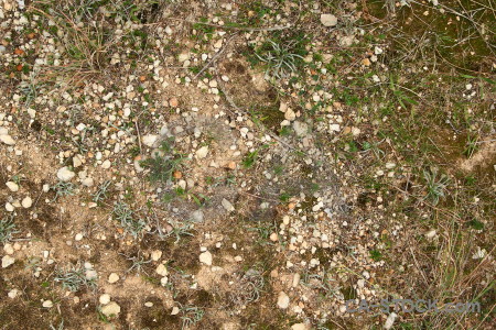 Stone brown green texture gravel.