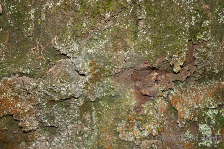 Stone green rock texture.
