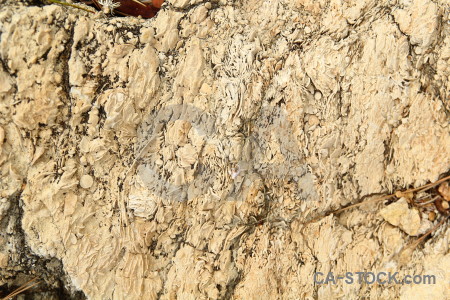 Stone texture rock brown.