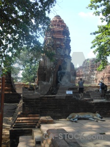 Stupa buddhism ayutthaya brick dog.