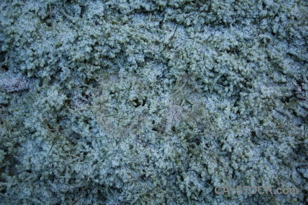 Sweden europe frost karlskrona texture.
