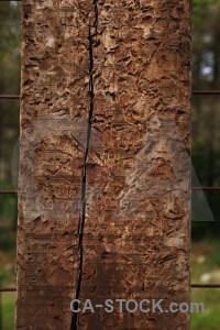 Texture brown post wood.