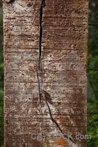 Texture brown wood post.