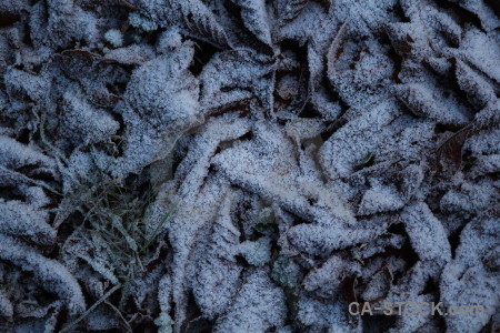 Texture europe leaf karlskrona frost.
