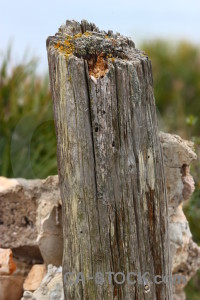 Texture green wood post.
