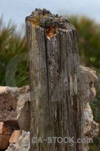 Texture post wood.