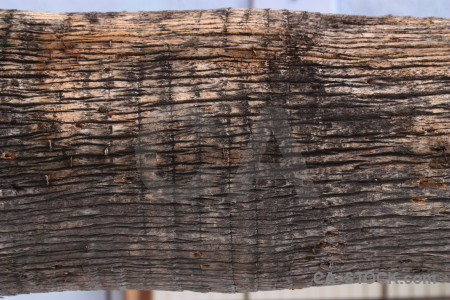 Texture wood bark.