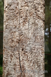 Texture wood post.