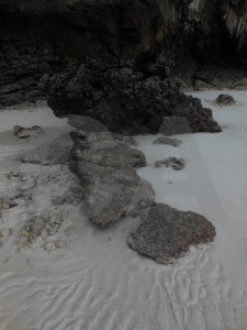 The island rock limestone tropical beach.