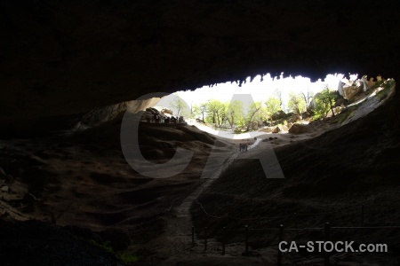 Tree cave south america patagonia rock.