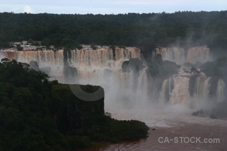 Tree iguazu falls water brazil south america.