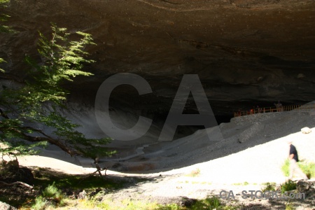Tree person chile cueva del milodon cave.