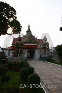 Tree temple buddhist bangkok building.