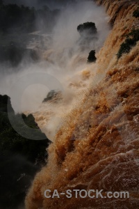 Unesco iguazu river iguassu falls waterfall tree.