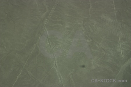 Unesco monkey nazca lines aerial peru.