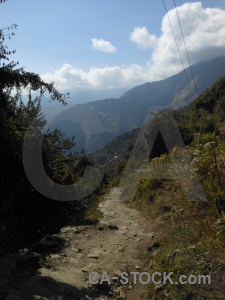Valley annapurna sanctuary trek nepal tree path.