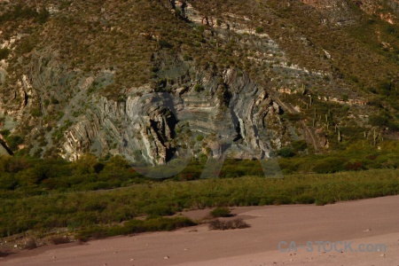 Valley quebrada de escoipe tree argentina calchaqui.