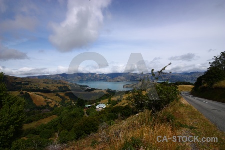 Water new zealand tree sky grass.