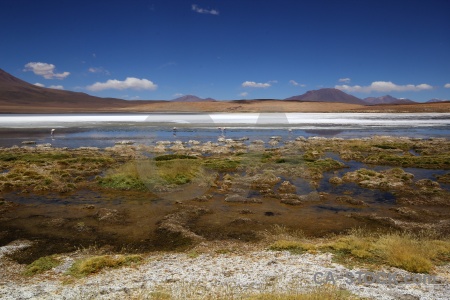 Water reflection laguna canapa andes bolivia.